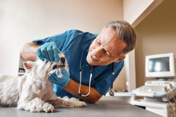 Best 24-Hour Emergency Dentist in Lawrencevle, IL